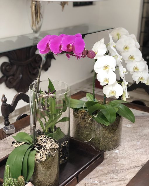 Vaso Cilindro G <br>Orquídeas Brancas - Image 3