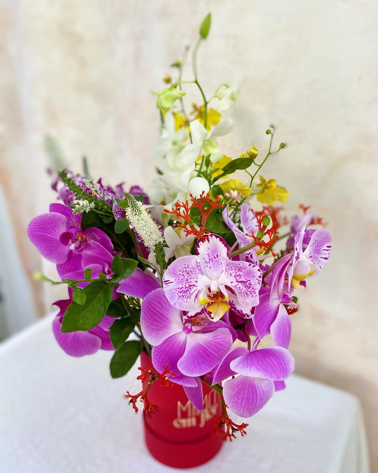 Box Pétit Cereja <br>Orquídeas