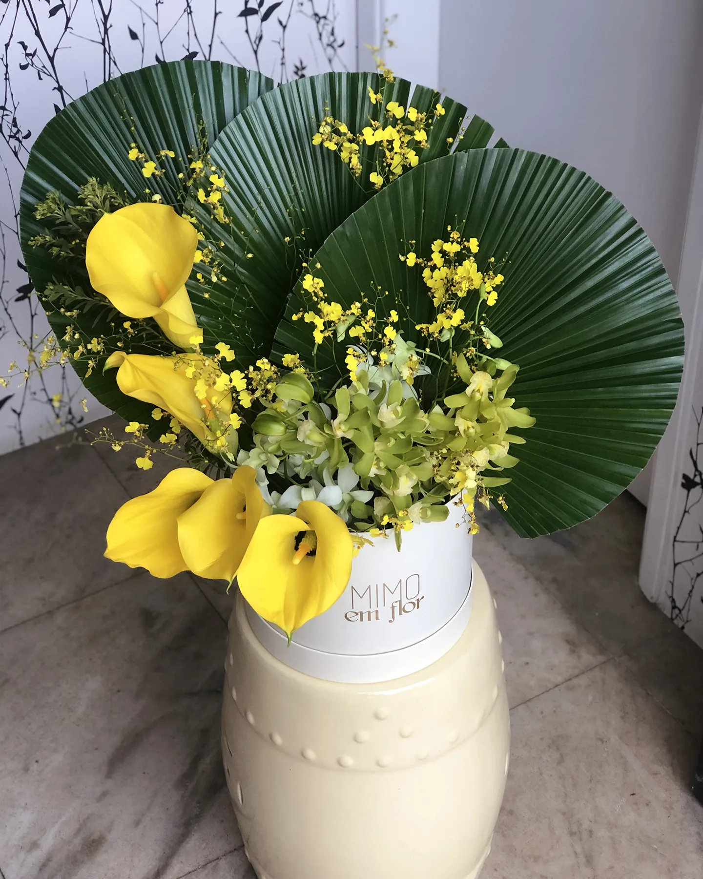 Box G Marfim <br>Latânias e Callas Amarelas - Image 3