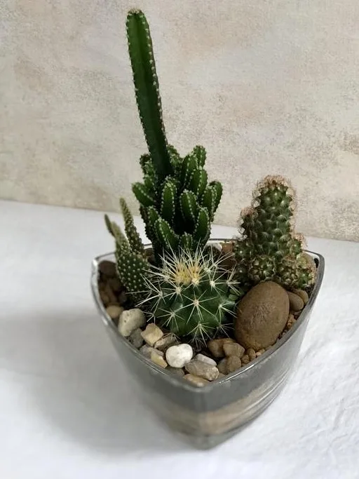 Terrário M <br>Vaso Triangular