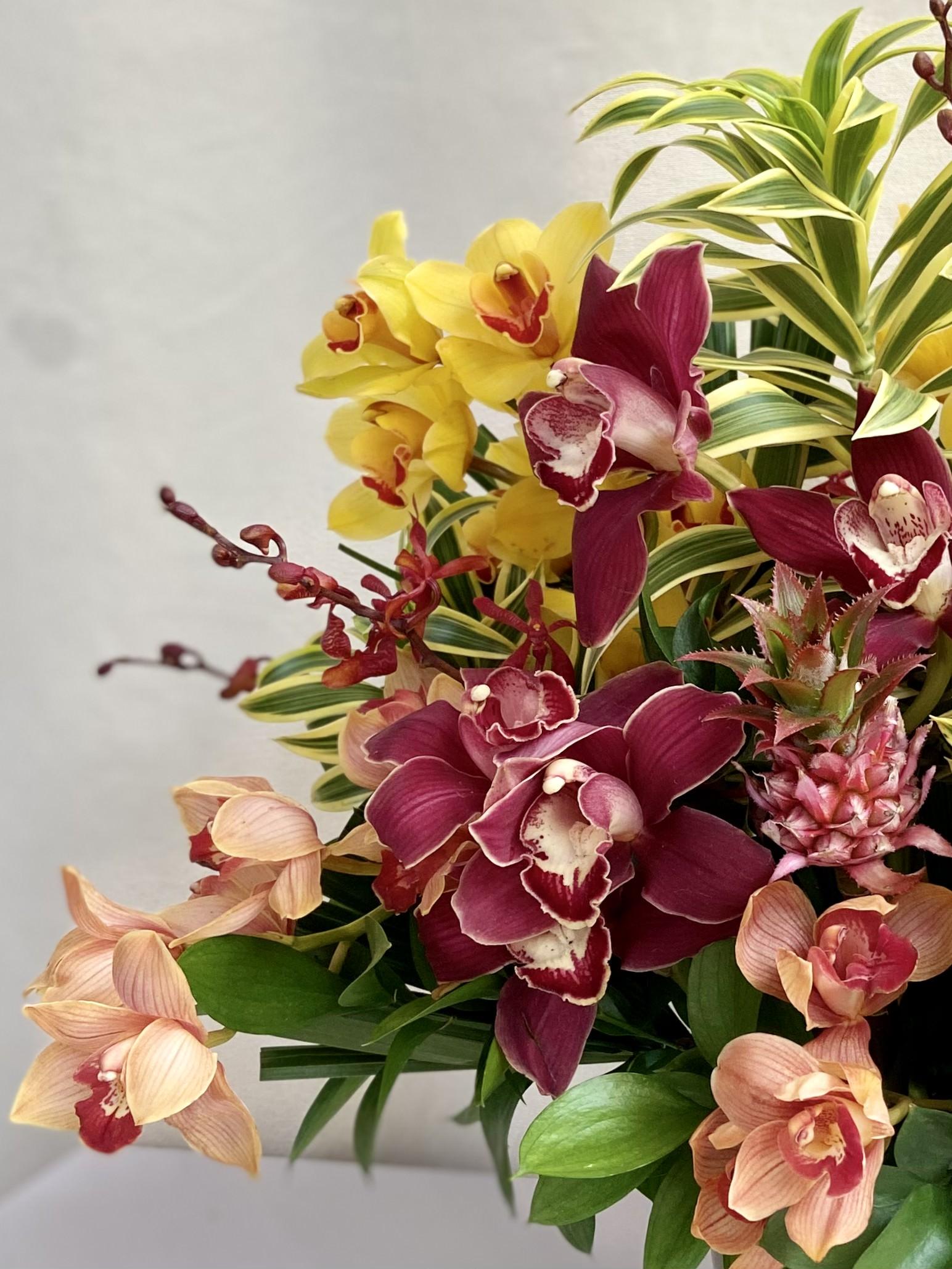 Cilindro G Orquídeas Coloridas – MIMOemflor | MIMO Cenografia