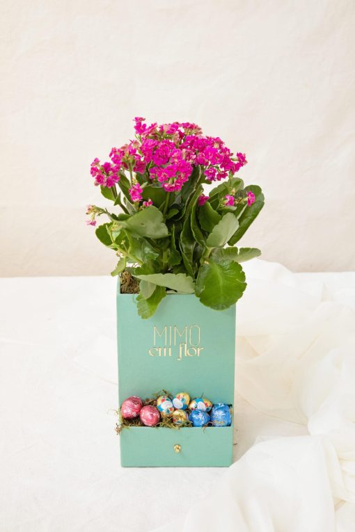 Box Tiffany de Calandiva com  8 Miniovos Recheados Lindt
