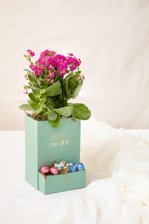 Box Tiffany de Calandiva com  8 Miniovos Recheados Lindt - Image 2