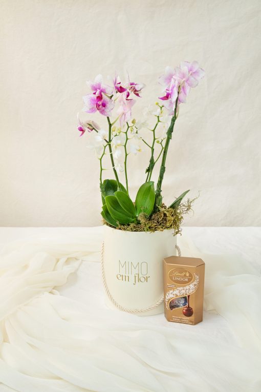 Box Marfim com Miniorquídea Plantada e Bombons Lindt 75g - Image 3