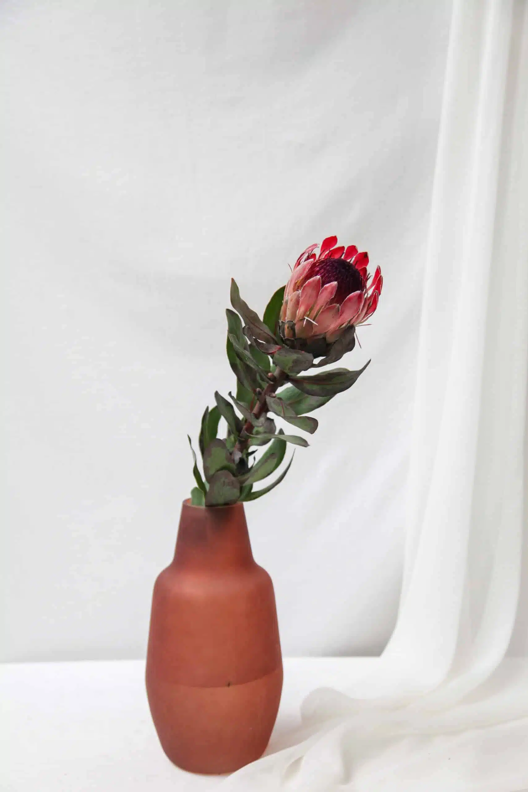 Vaso G Vidro Fosco Protea