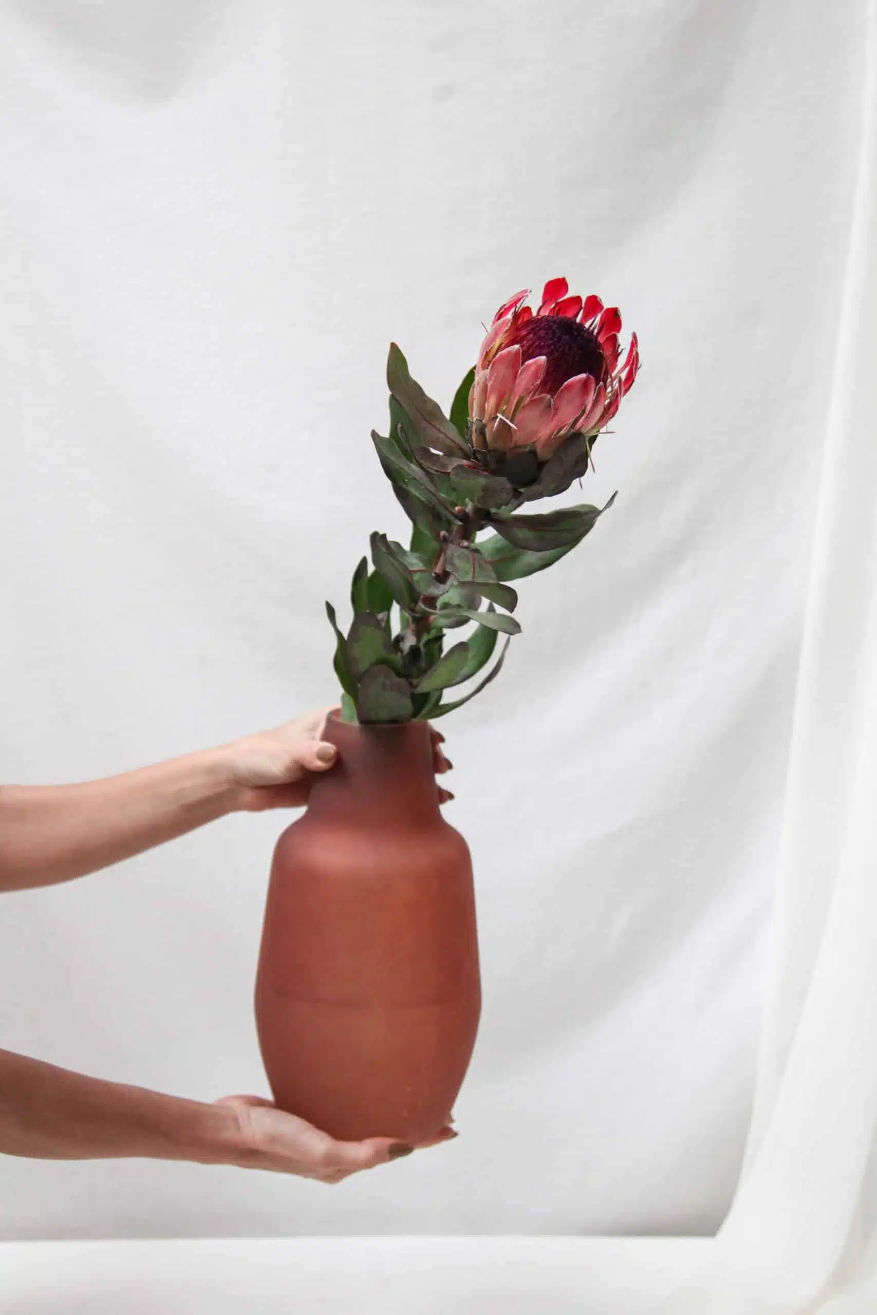 Vaso G Vidro Fosco Protea - Image 2