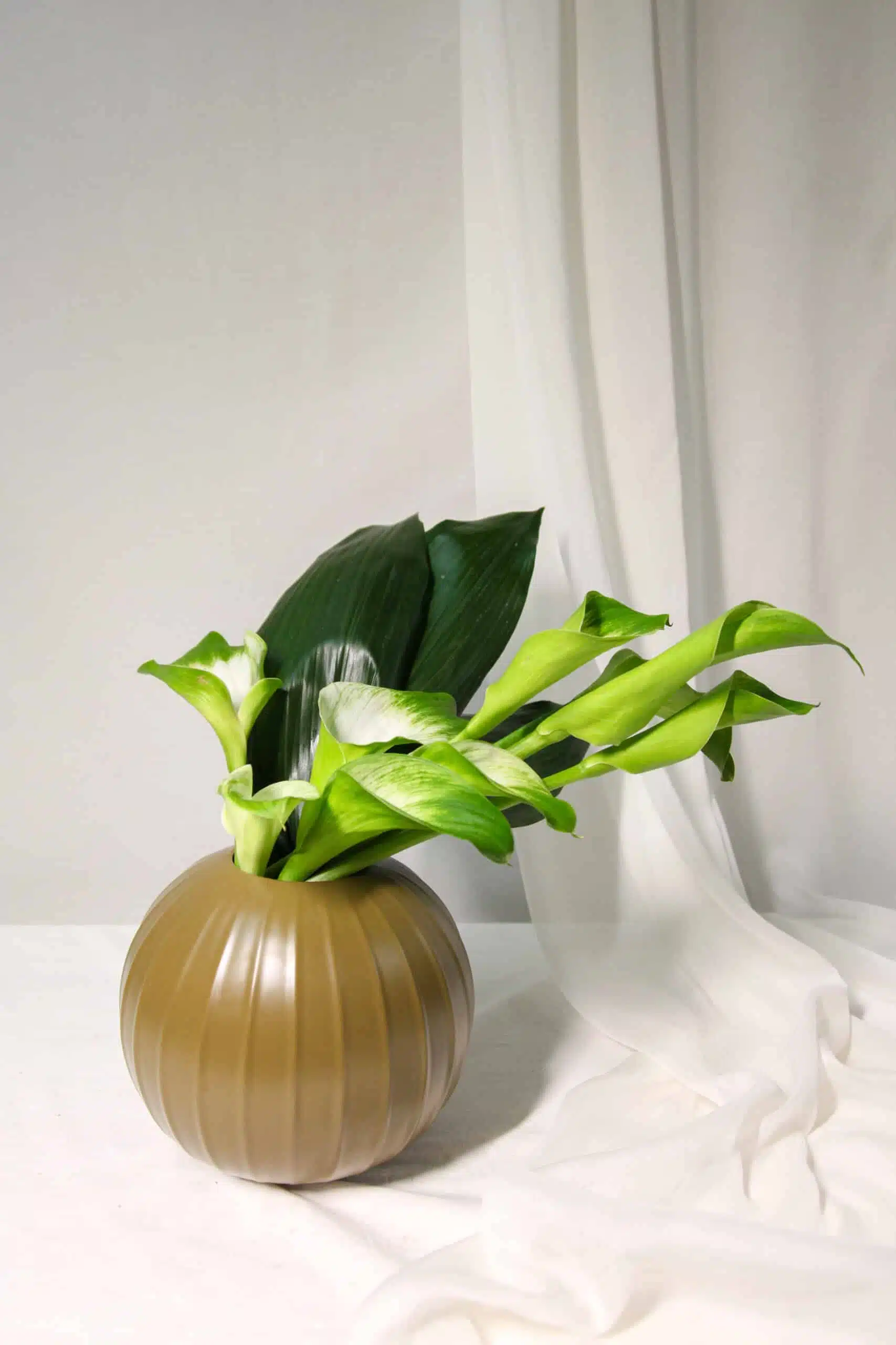 Vaso M Cerâmica Callas