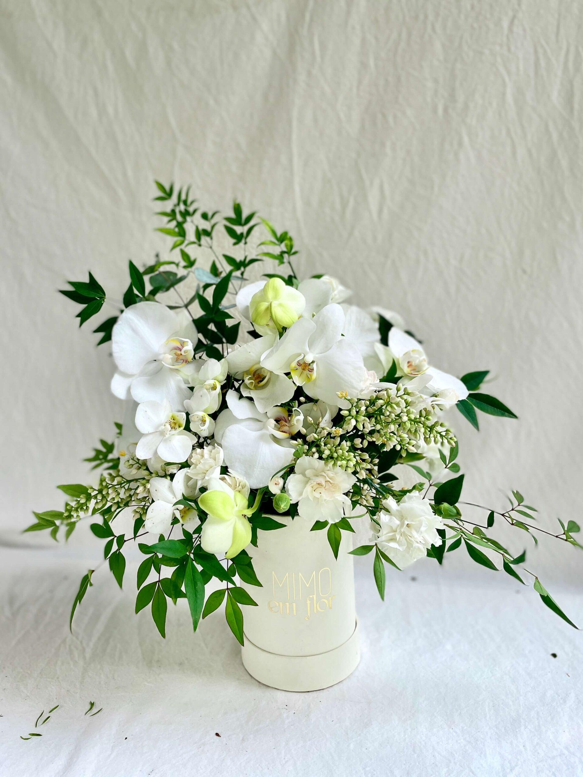 Box P Orquídea Branca (mais cores disponíveis) – MIMOemflor | MIMO  Cenografia