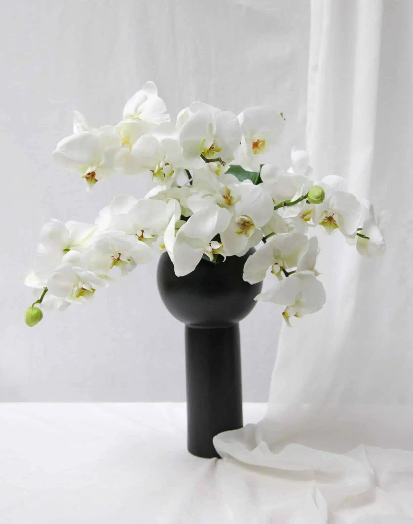 Vaso M Design Orquídeas Brancas