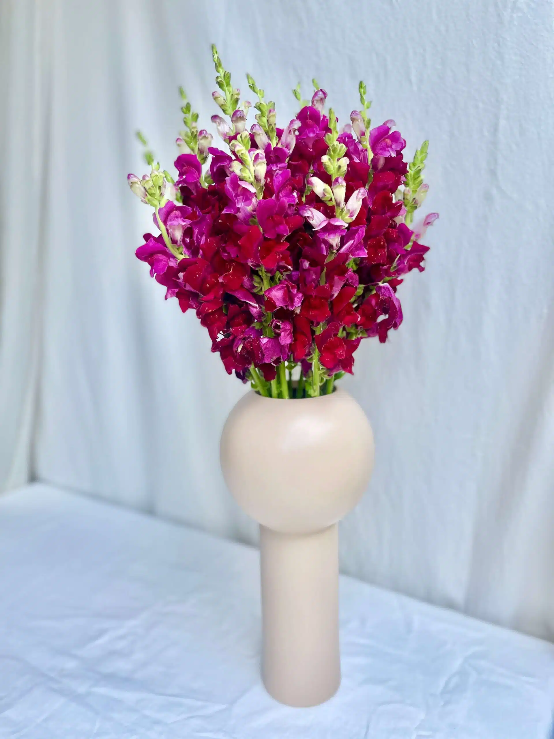 Vaso Design Boca-de-leão (mais cores e tamanhos disponíveis)