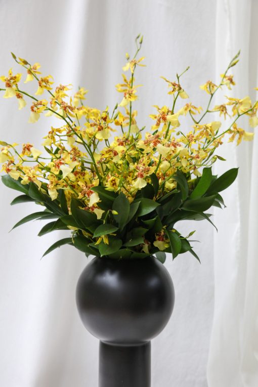 Vaso M Design Orquídea Chuva-de-ouro - Image 6
